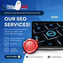 Triosoulweb SEO Service Triosoulweb SEO Service